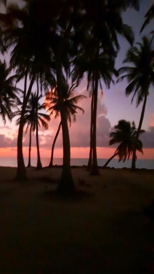 Mystic Maldives Mathiveri Retreat Exteriör bild